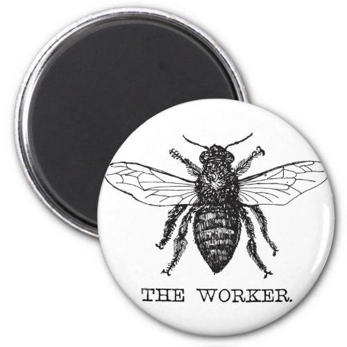 Bee Worker Honey Black Bumblebee Magnet
