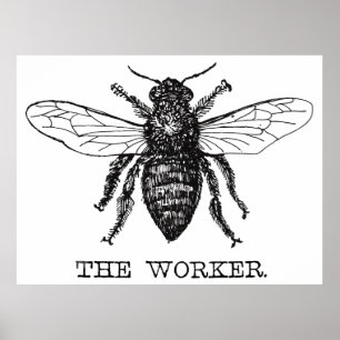 Bee Worker Honey Black Bumblebee Poster