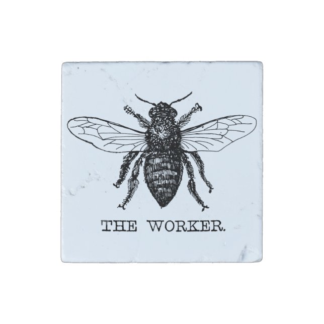 Bee Worker Honey Black Bumblebee Stone Magnet (First Magnet)