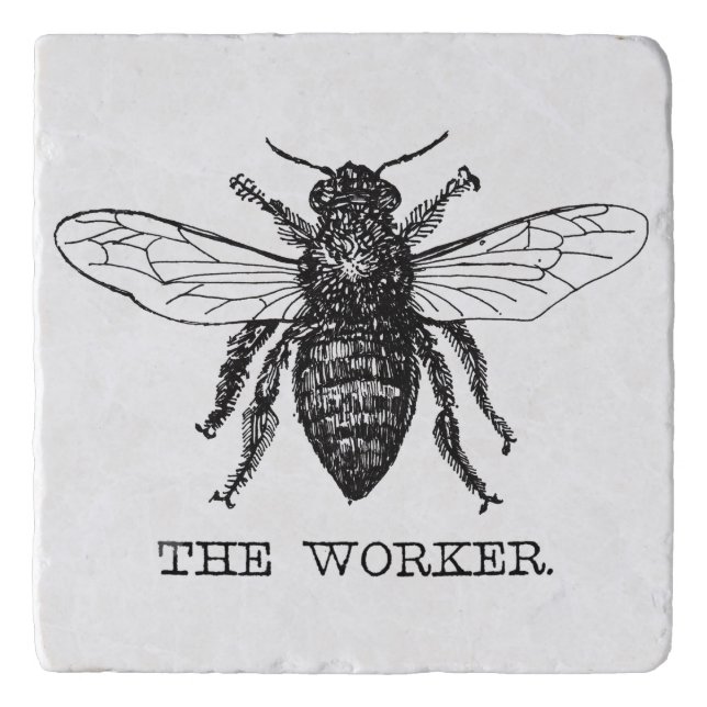 Bee Worker Honey Black Bumblebee Trivet (Front)
