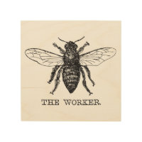 Bee Worker Honey Black Bumblebee