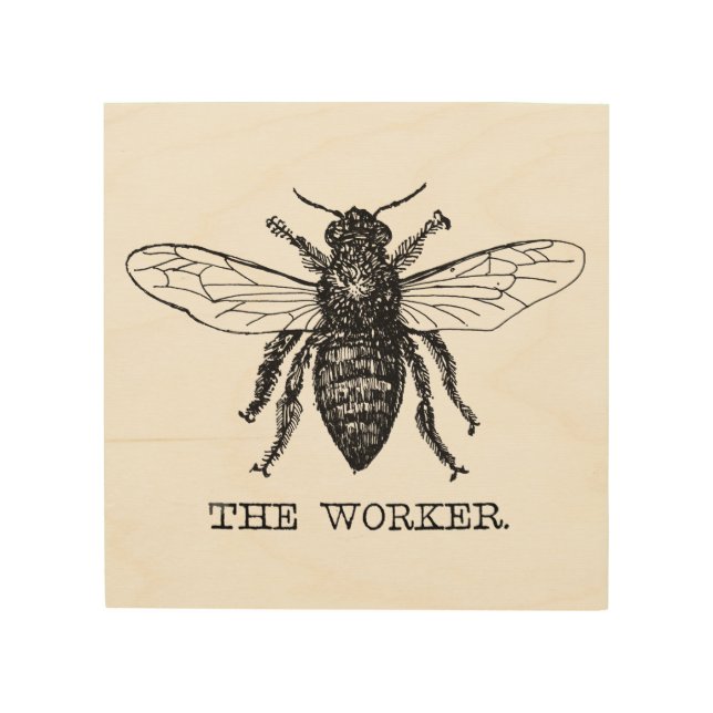 Bee Worker Honey Black Bumblebee Wood Wall Art (Front)