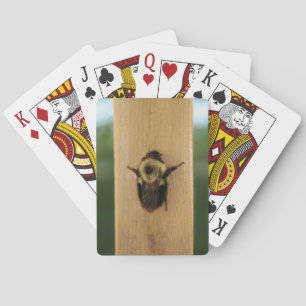 Bee-zilla Poker Cards