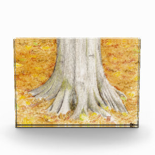 Beech Feet Award