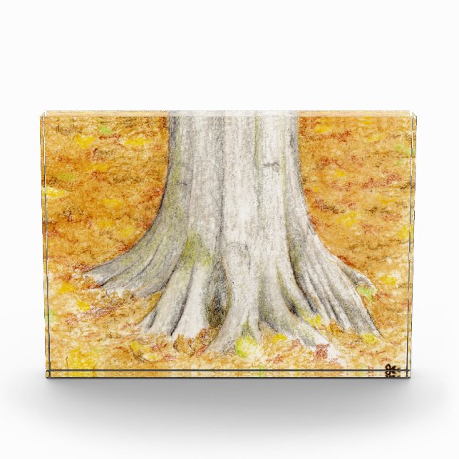 Beech Feet Award (Front)