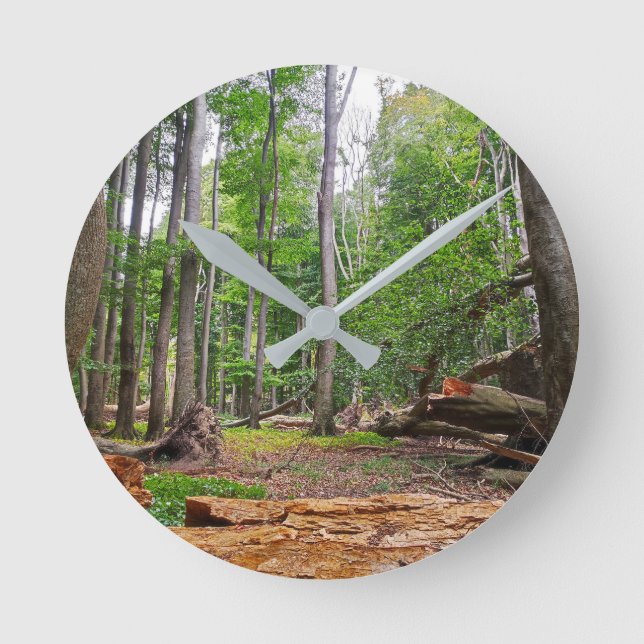 Beech forest motif round clock (Front)