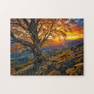 Beech on hillside with fox jigsaw puzzle