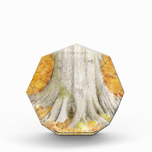Beech Tree Award