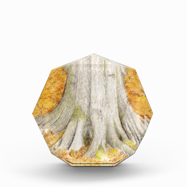 Beech Tree Award (Front)