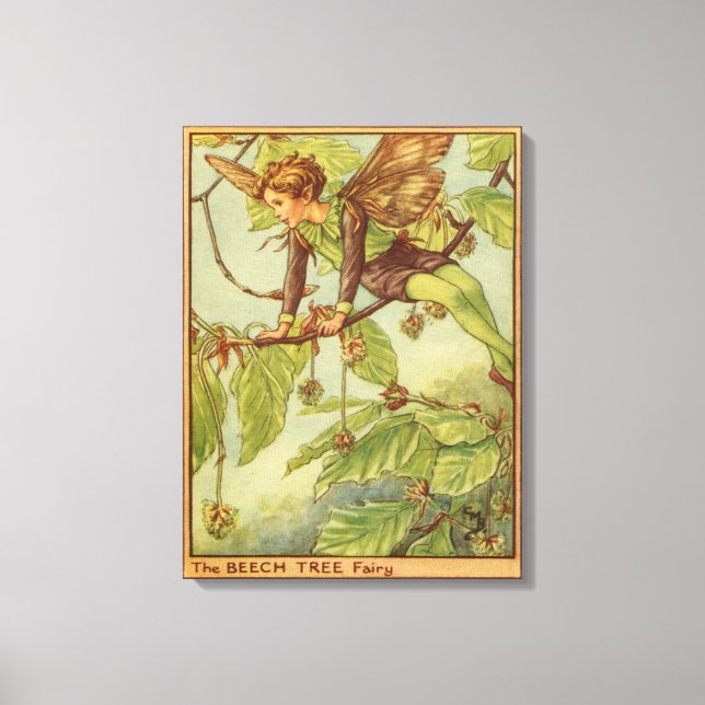 Beech Tree Fairy by Vision Studio Canvas Print (Front)