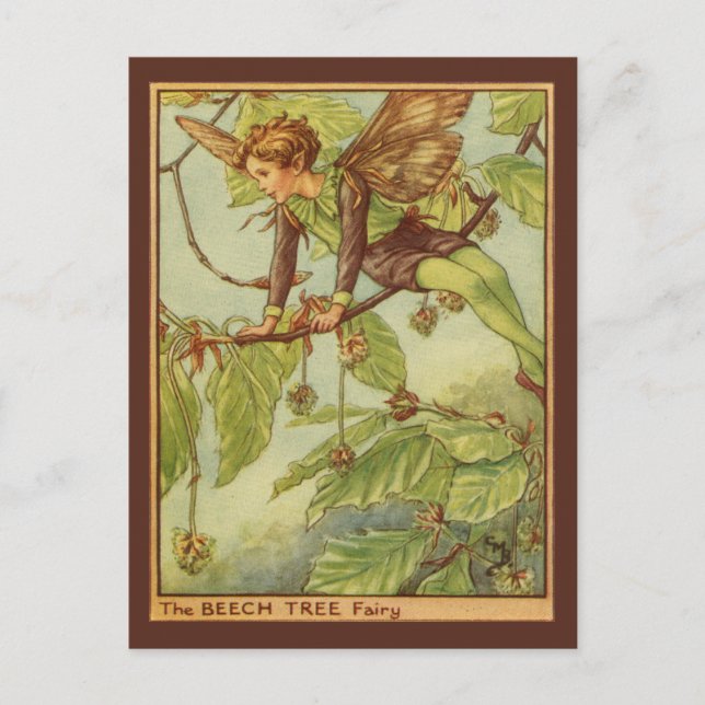 Beech Tree Fairy by Vision Studio Postcard (Front)