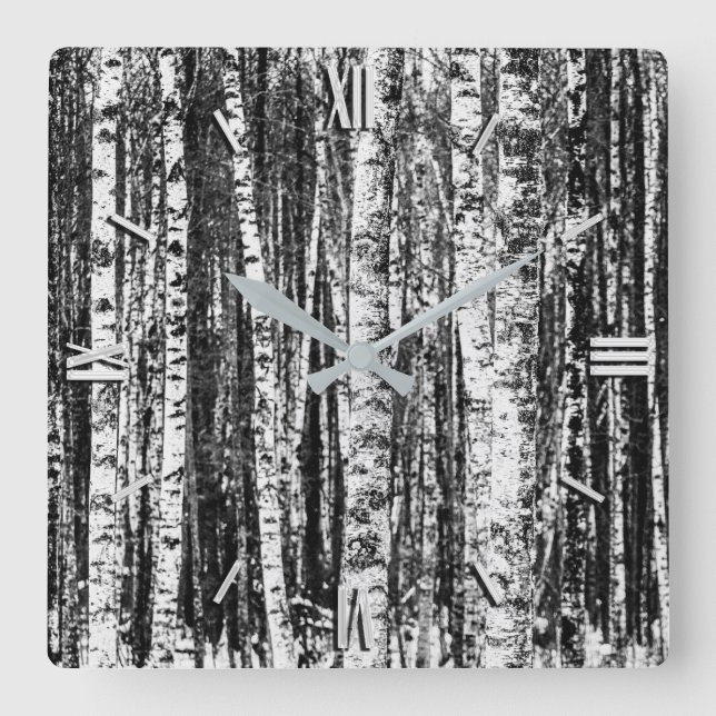Beech Trees, White and Charcoal Gray / Gray Square Wall Clock (Front)