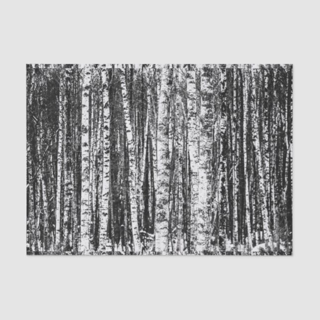 Beech Trees, White and Charcoal Gray / Grey Tissue Paper (Front)