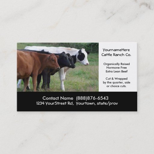 Customizable Beef Cattle Farming or Butchering Business Card