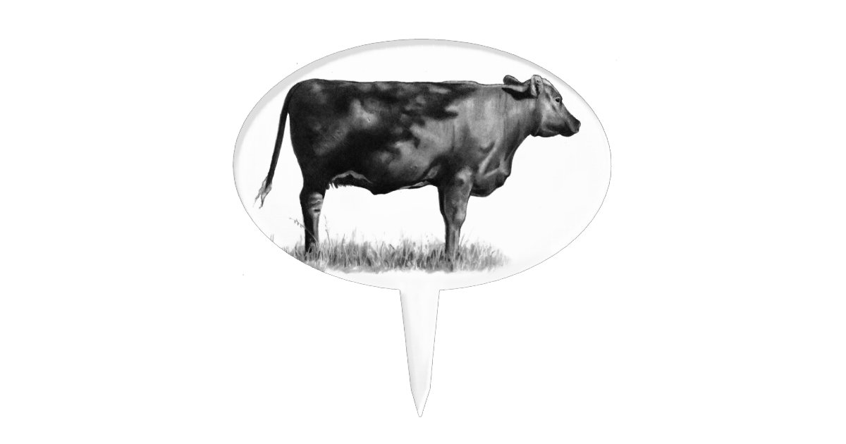 beef cattle drawing