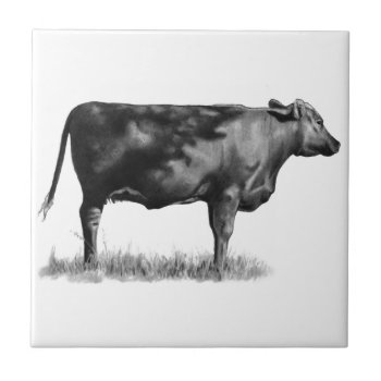 Beef Cow/heifer In Pencil: Realism: Drawing Tile by joyart at Zazzle