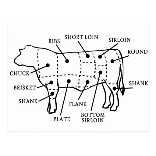 BEEF COW POSTCARD | Zazzle