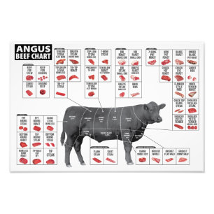 Beef Cuts Chart  Photo Print