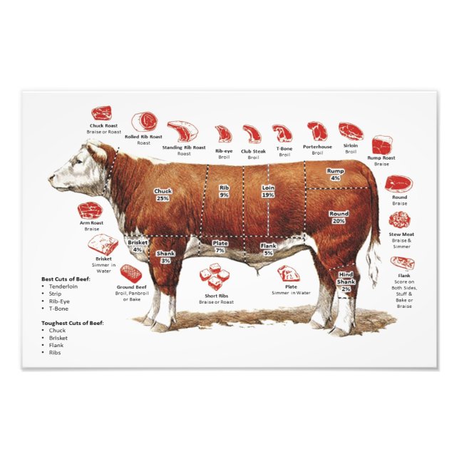 Beef Cuts Chart  Photo Print (Front)