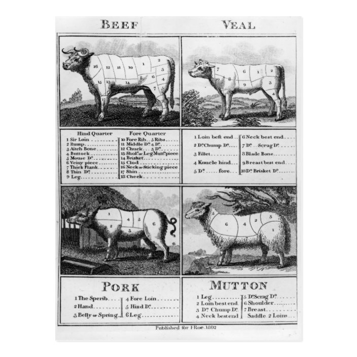 Veal essay image