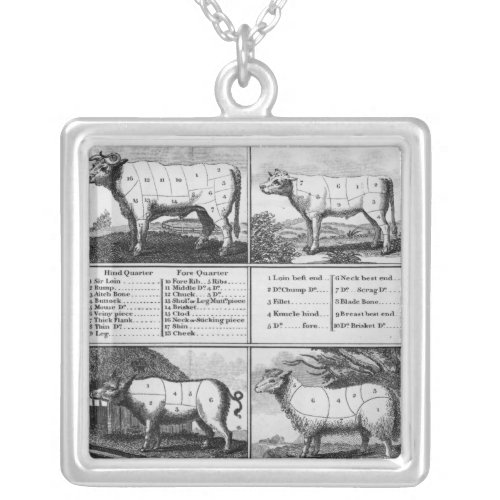 Beef Veal Pork and Mutton Cuts 1802 Silver Plated Necklace