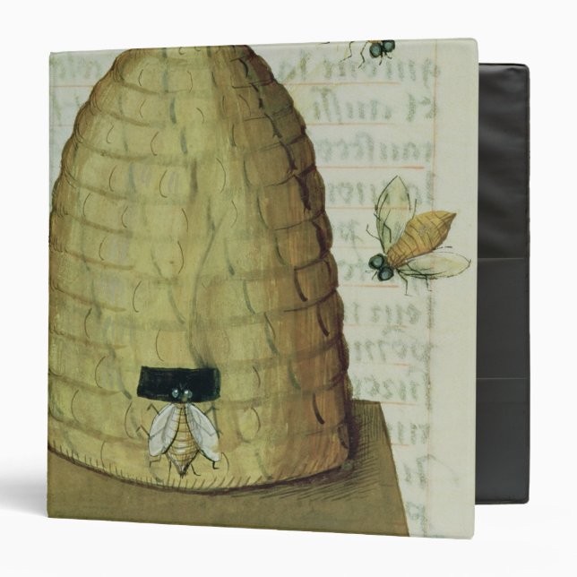 Beehive and Bees 3 Ring Binder (Front/Inside)