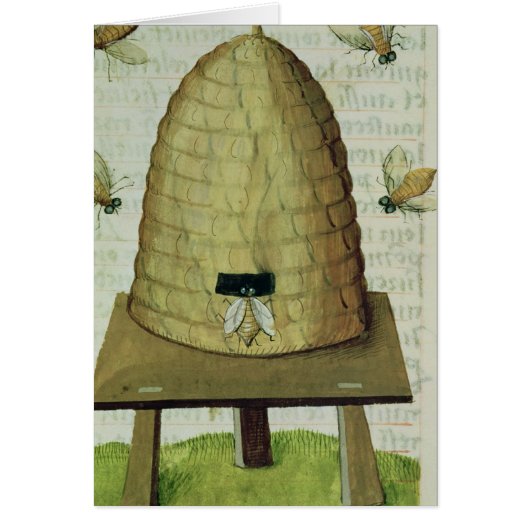 Beehive and Bees Cards (Front)