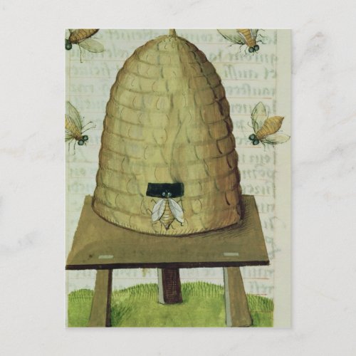 Beehive and Bees Postcard