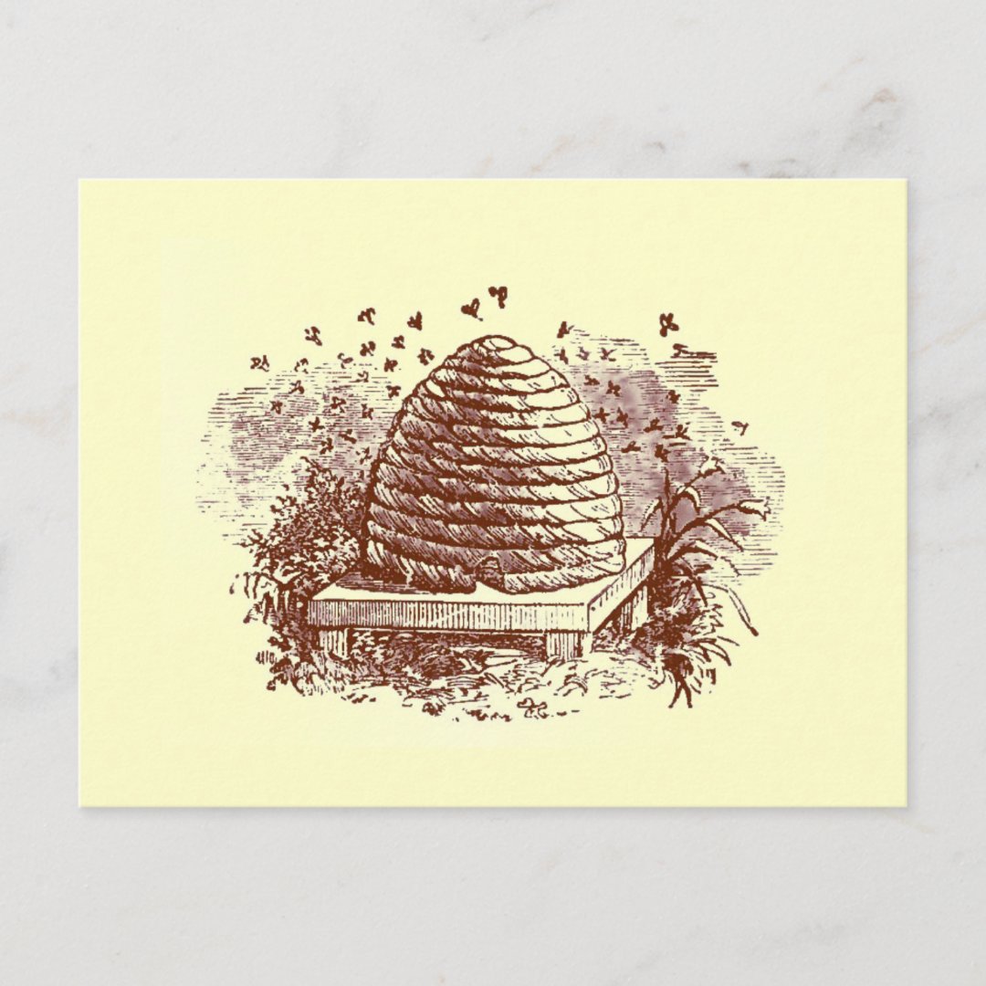 Beehive Postcard 