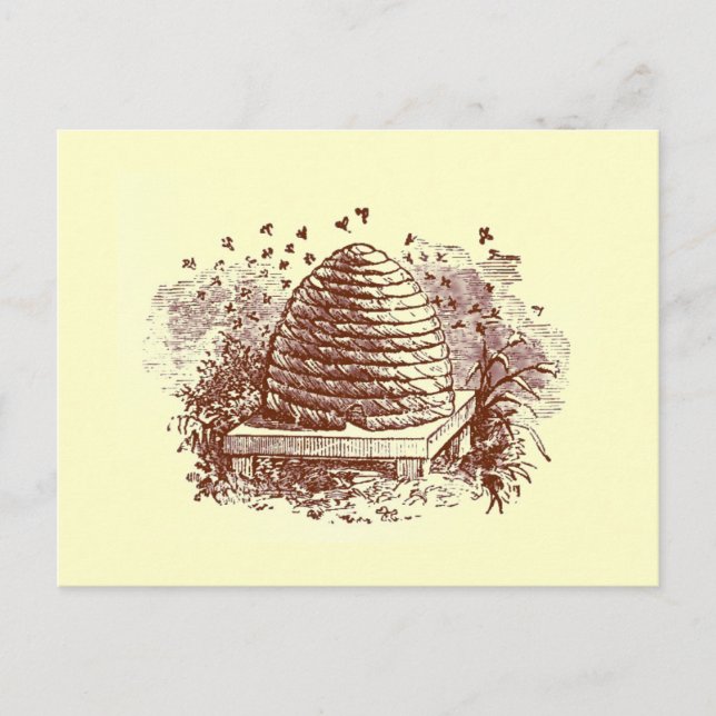 Beehive Postcard (Front)