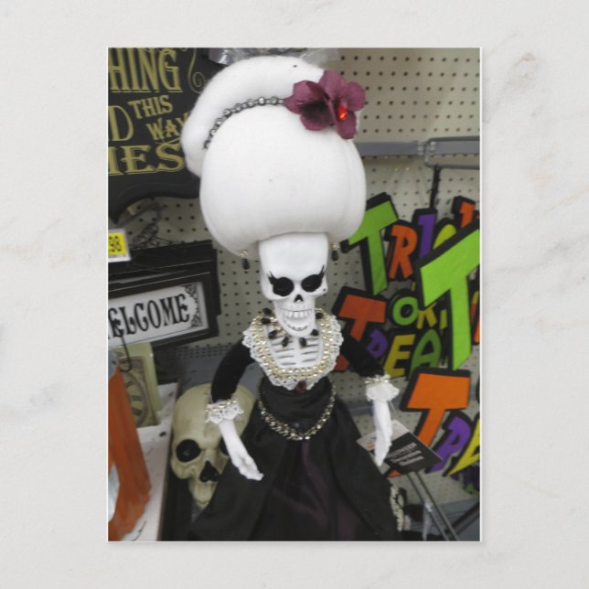 Beehive Skeleton Postcard (Front)