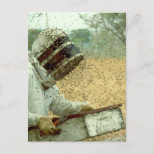 Beekeepers Postcard