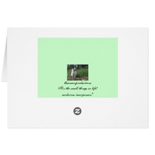 Beekeeping class cards (Back Horizontal)