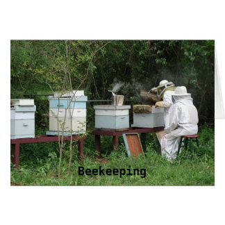 Beekeeping class cards