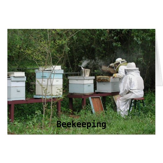 Beekeeping class cards (Front Horizontal)