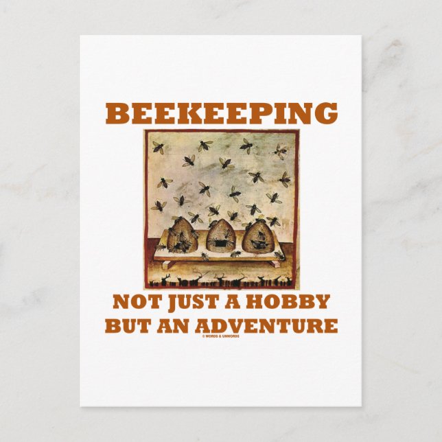 Beekeeping Not Just A Hobby But An Adventure Postcard (Front)