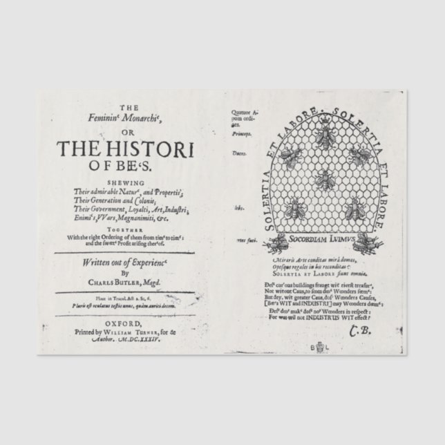 Beekeeping Queen Bee 1609 Publication Tissue Paper (Front)