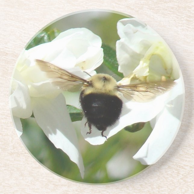 Bee'n Busy Coaster (Front)
