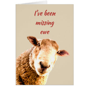 Been Missing Ewe Funny Sheep Animal Humor Cards