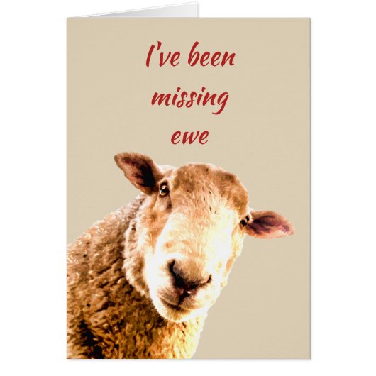 Been Missing Ewe Funny Sheep Animal Humor Cards (Front)