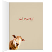 Been Missing Ewe Funny Sheep Animal Humor Cards (Inside (Right))