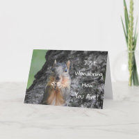 Been Thinking About You, Squirrel Photo