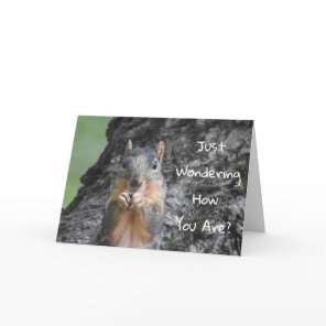Been Thinking About You, Squirrel Photo  Card