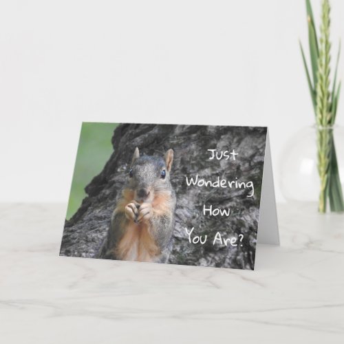 Been Thinking About You Squirrel Photo  Card