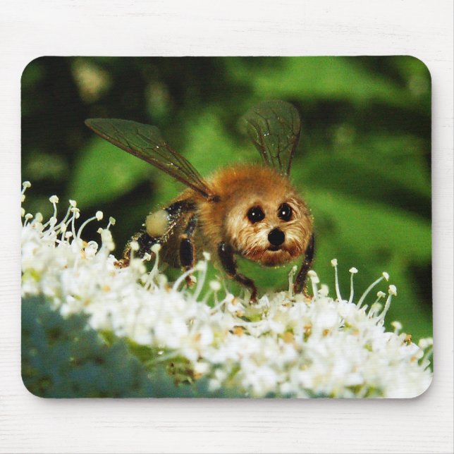 Beeog Mouse Pad (Front)