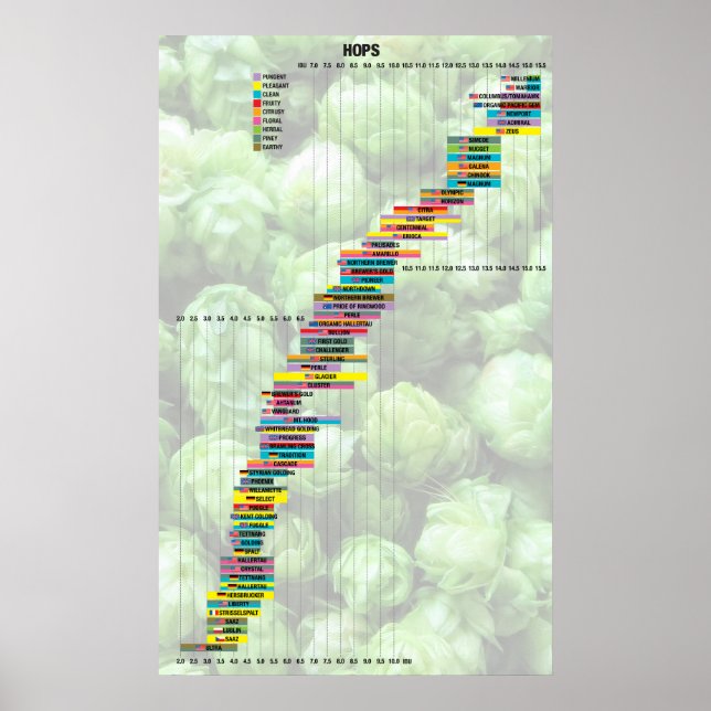 Beer By The Numbers – Hops Poster (Front)