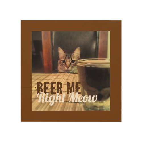 Beer Me Right Meow Funny Kitty Cat Photography Wood Wall Art