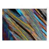 Beer under the microscope (Front Horizontal)