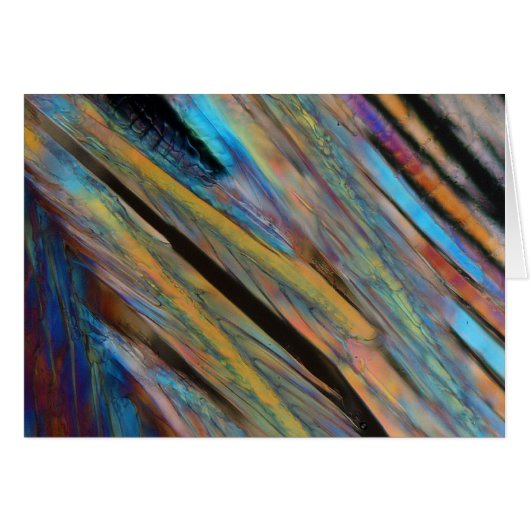 Beer under the microscope cards (Front Horizontal)