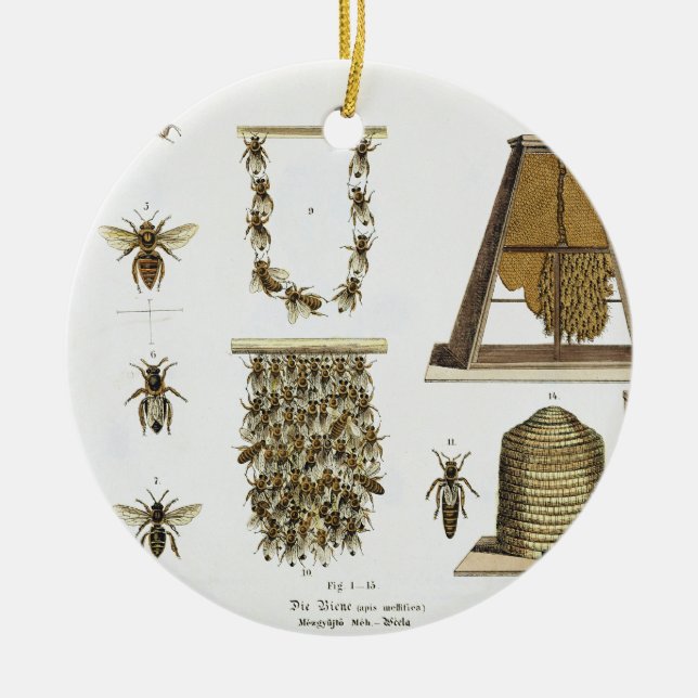Bees and bee-keeping, from 'The Young Landsman', p Ceramic Ornament (Front)
